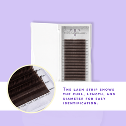 0.03 volume lash trays