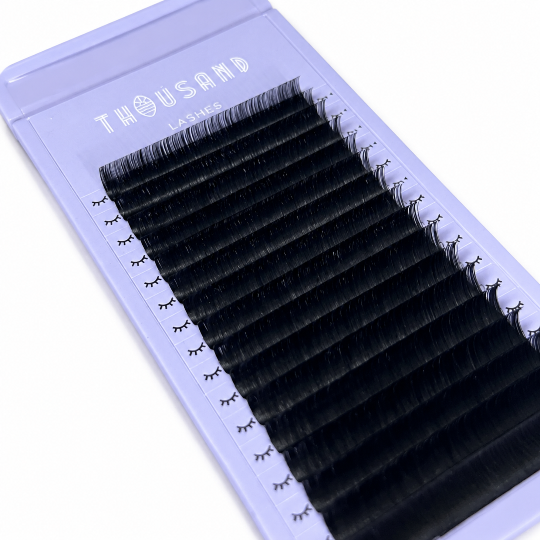 camellia eyelash extensions