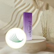 6D COLOR PROMADE LASH FANS 0.07 MIXED LENGTH 10-14MM