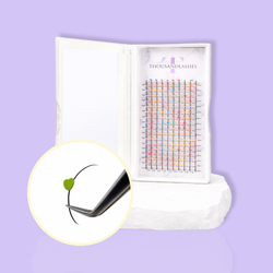 lash tray decal