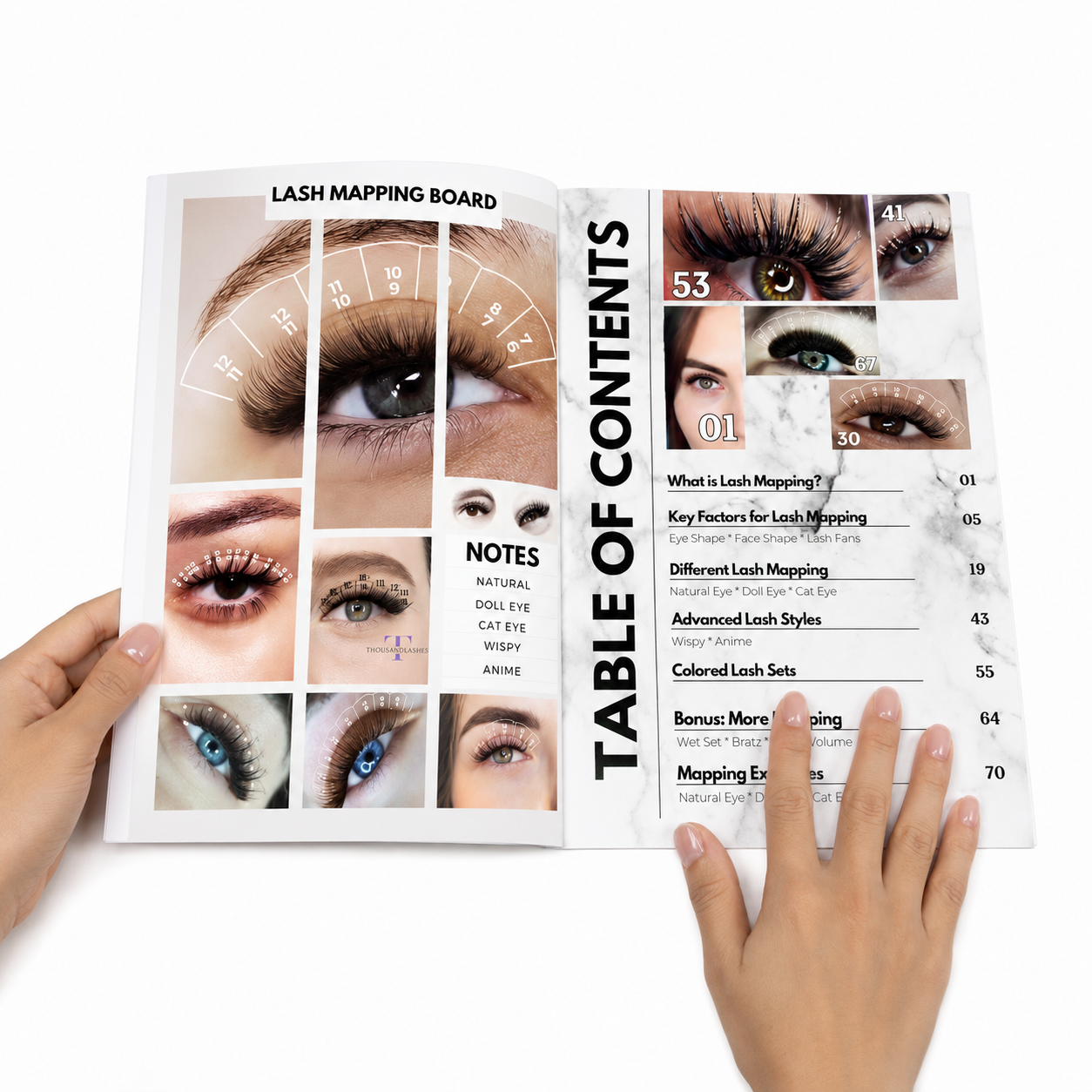 lash mapping chart for lash artists