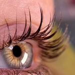 lift lashes