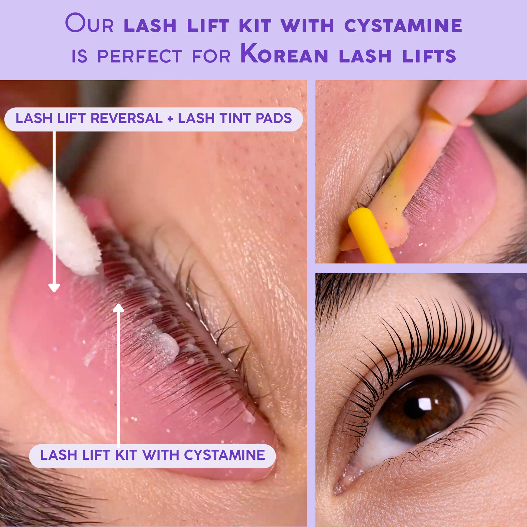 professional lash lift kit