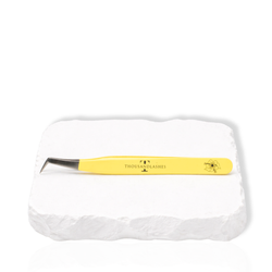 summer spring lash tweezer collection