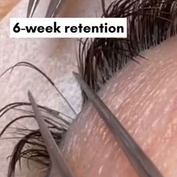 LASH RETENTION ONLINE COURSE
