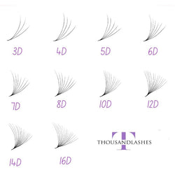 Best Promade lash fans