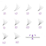 Best Promade lash fans