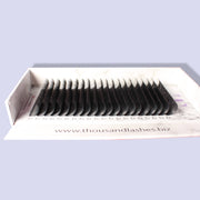 CHLOE COLLECTION VOLUME LASHES (SINGLE LENGTH)