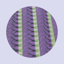 6D COLOR PROMADE LASH FANS XL MIXED LENGTH (8-15MM)