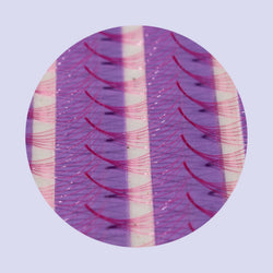 6D COLOR PROMADE LASH FANS XL MIXED LENGTH (8-15MM)
