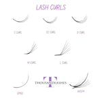 Lash Curls