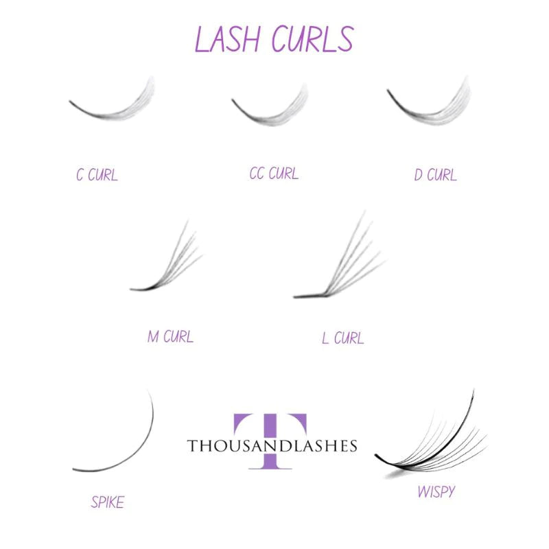 Lash Curls