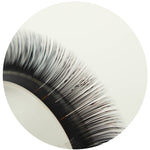 Macro close-up of black eyelash extensions showing individual lash fibers and curved lash strip detail.
