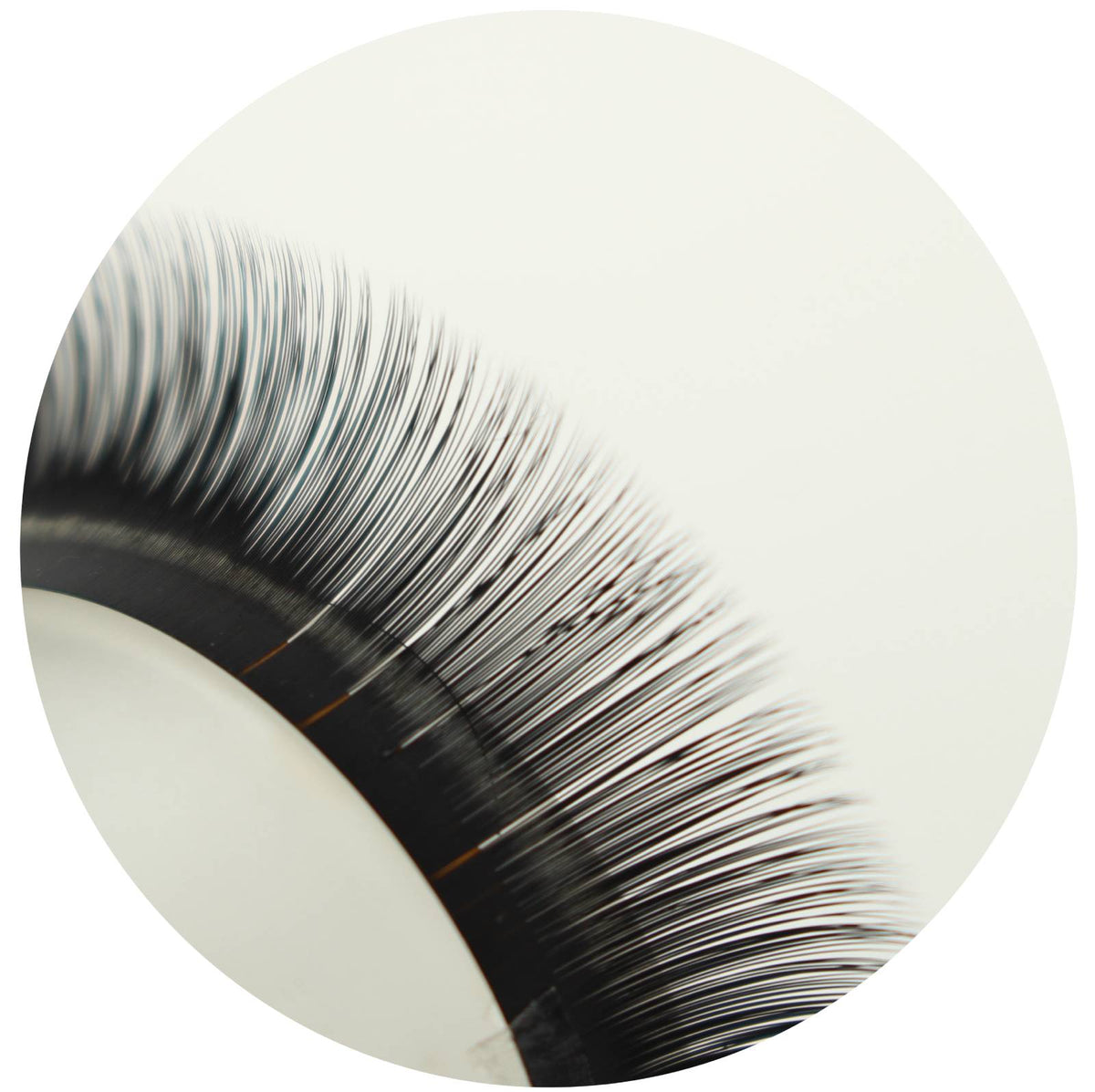 Macro close-up of black eyelash extensions showing individual lash fibers and curved lash strip detail.