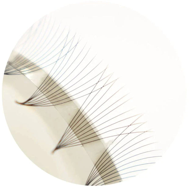 8D ORGANIZED NARROW PRO-MADE FANS SAMPLE (9-17MM)