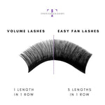 Volume Lashes vs Easy Fan Lashes