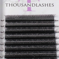 w lash extensions