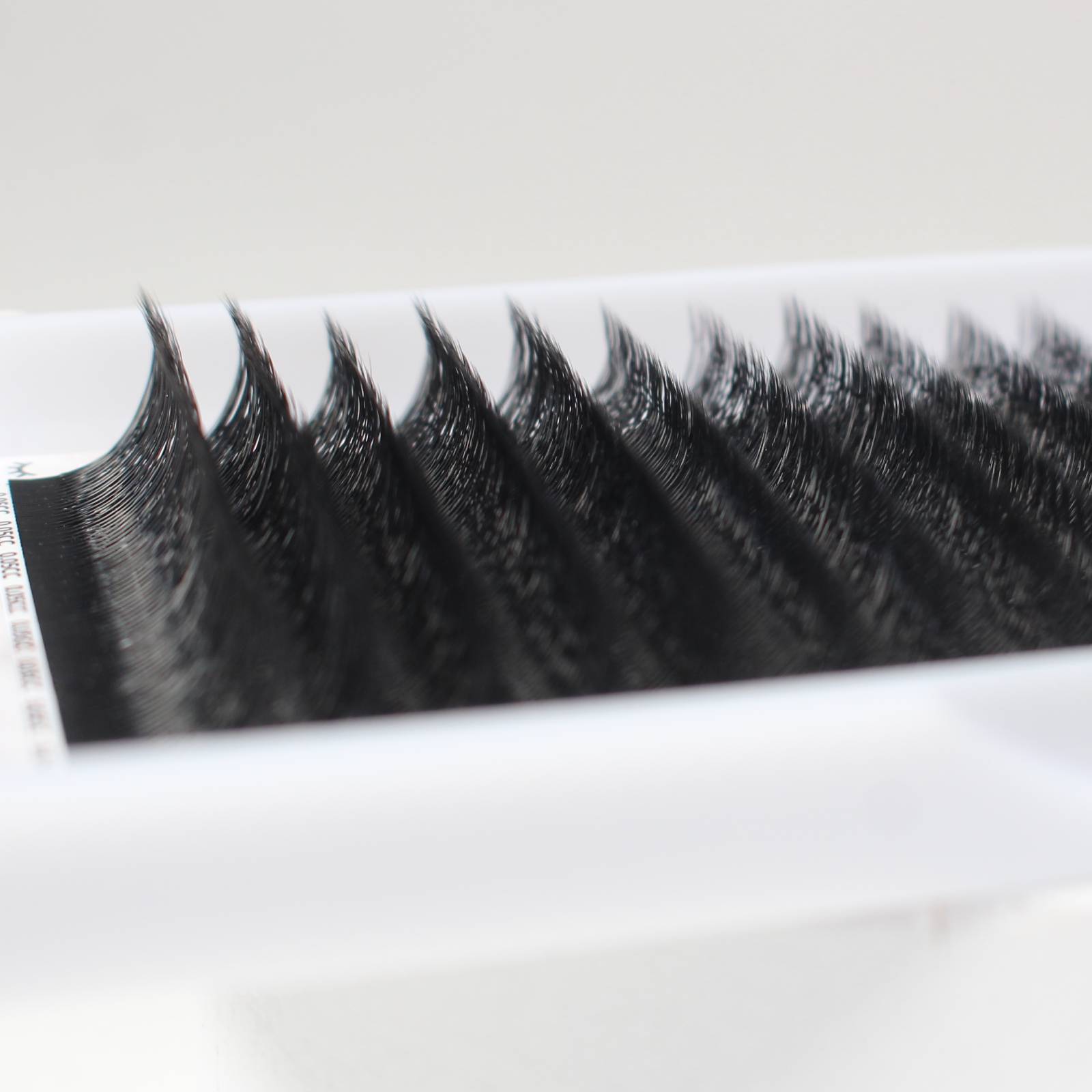 W lashes