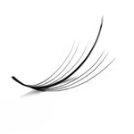 Wispy Lash Extensions 7D