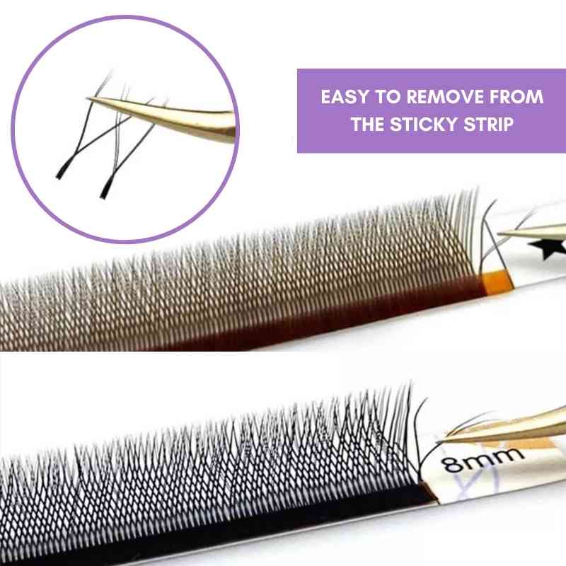 YY Lashes extensions